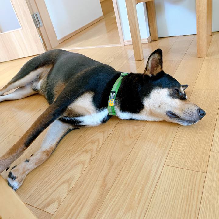 A3ad3403 f395 4475 b4ed ed00d8a18345 1561727909760