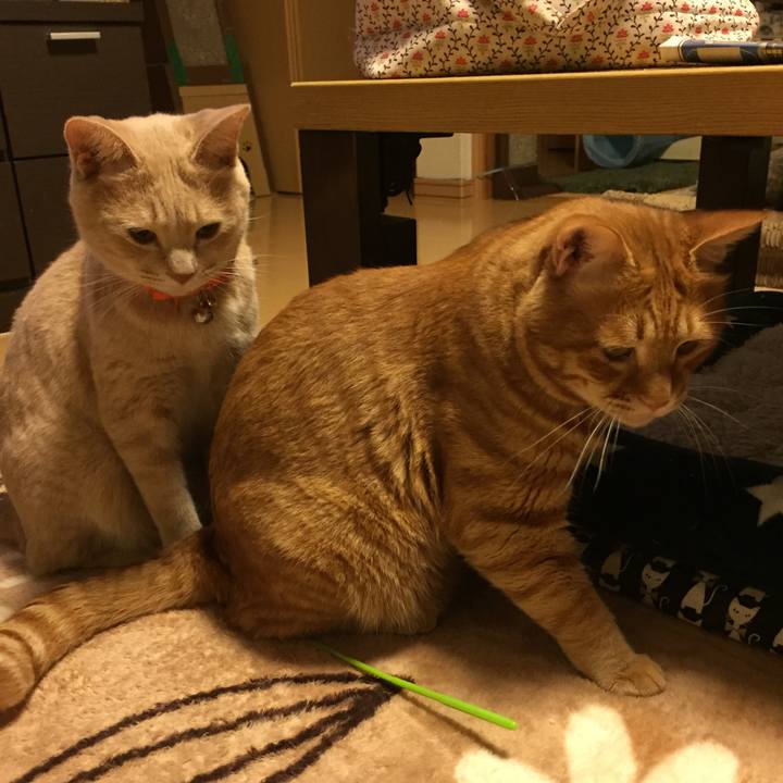 A3ad352d 8133 4991 9f04 051fd53f155e 1602589583969