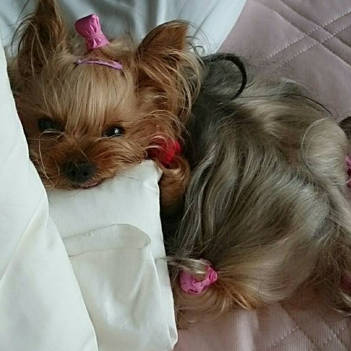 A3ad3624 46ff 46b9 9b8a be6cb6f01588 1570762674205