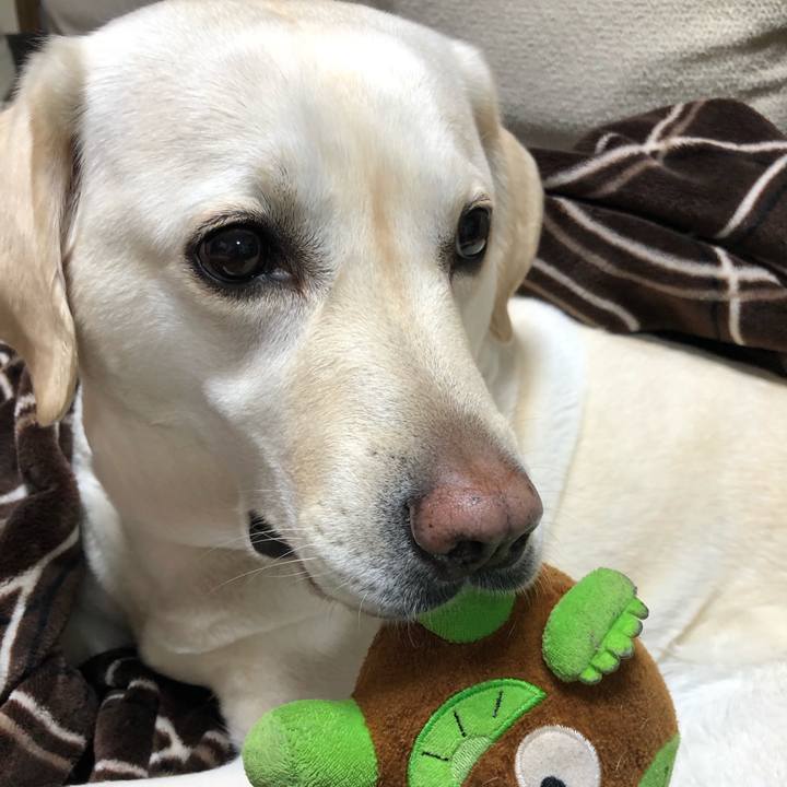 A3ad4034 5f67 4c19 b165 ad949ab70a6a 1586006539893