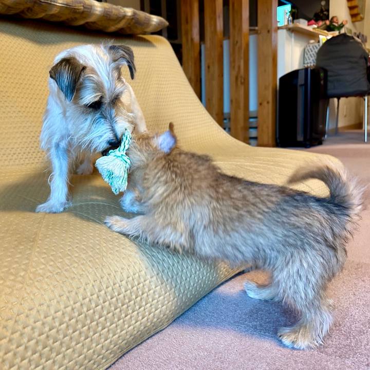 A3ad445e 188c 4dbf b407 f9c46bd3e905 1703507107155