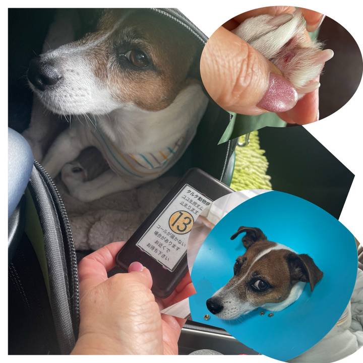 A3adb947 ed1d 47ee 8e42 c4ce1cbb67af 1759551905435