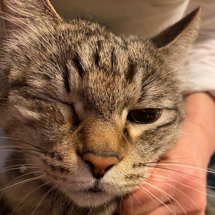 A3ae0019 575c 44c2 a39e 1977e60008b1 1584272527064