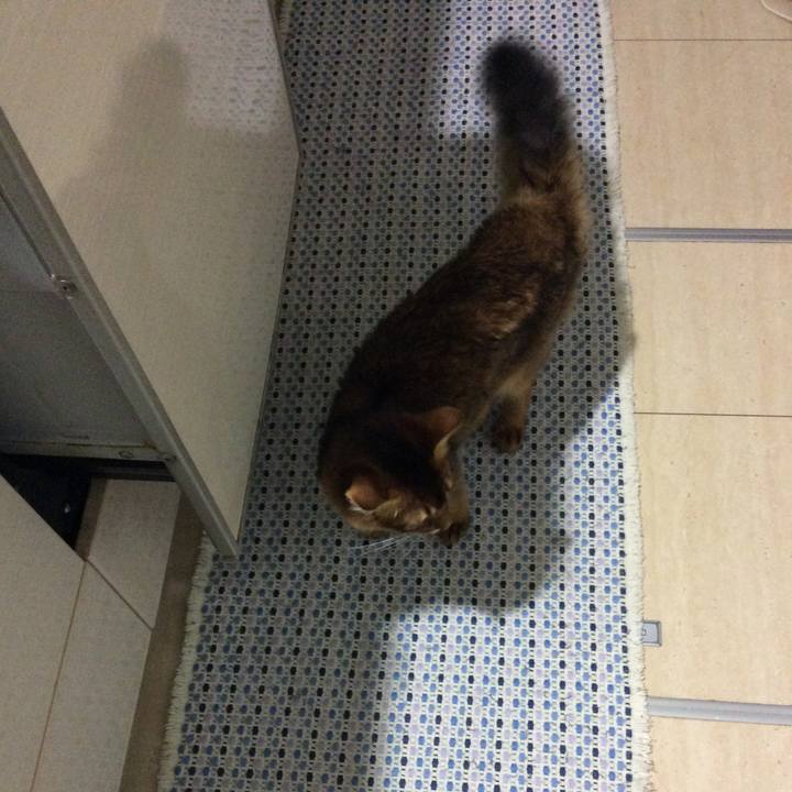 A3ae2be1 a1cc 403b aacc 3aa1a61fd71d 1566851097227