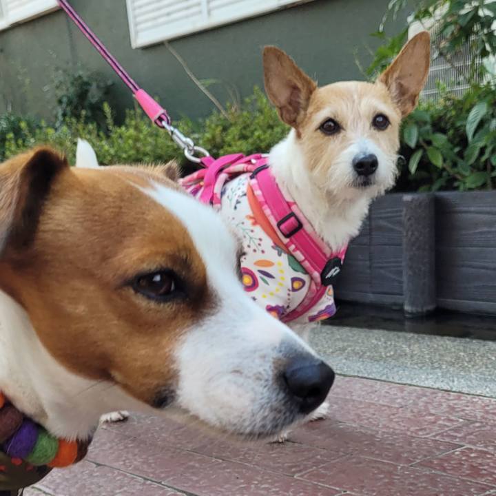 A3ae7001 1089 463c a7be 00da7417c7e3 1672663060102