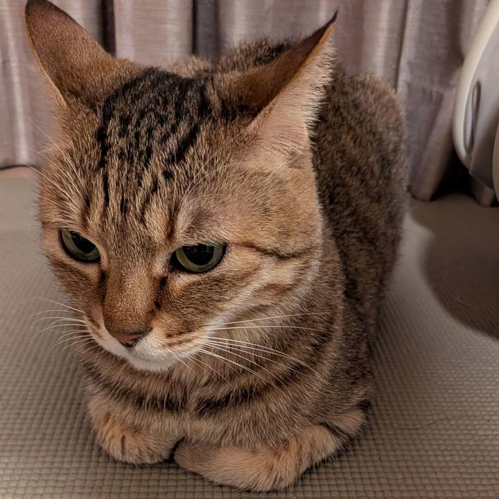 A3ae97a2 588b 481c a1ba 91db0b0a8091 1768774333711