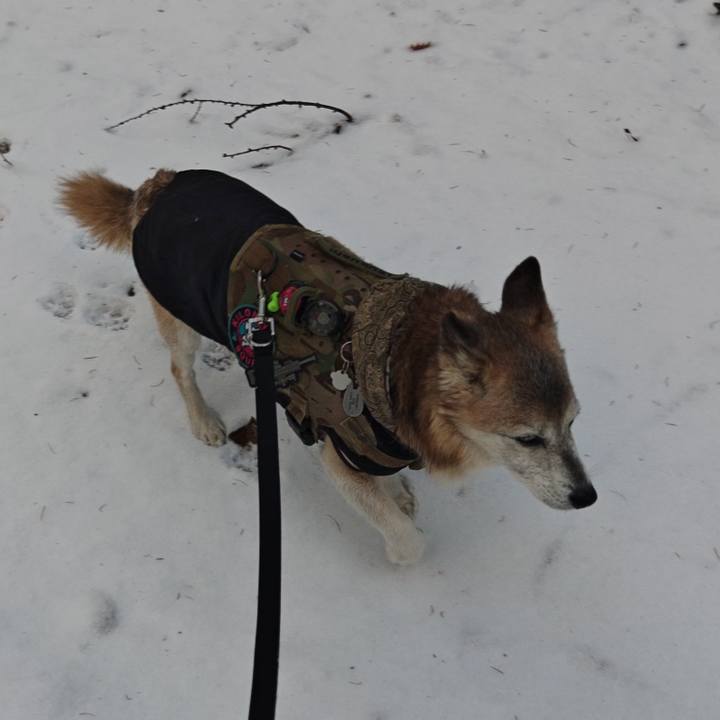 A3aeba37 66aa 41f6 bdaa 96c0ce643537 1765701596546