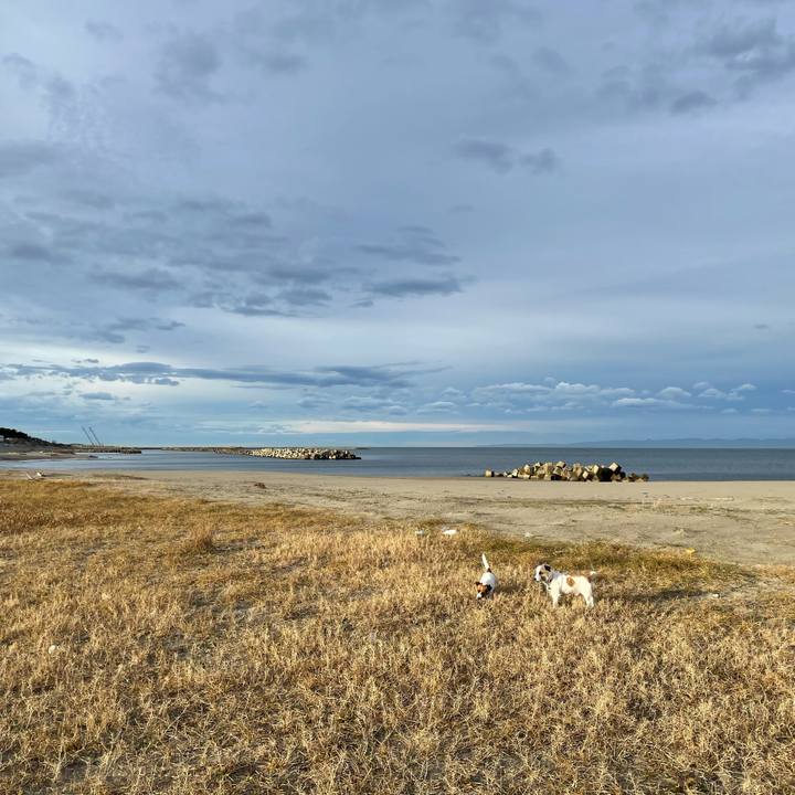 A3aecc9c 8475 4d52 89ca cd7e0e699c2e 1669680390514