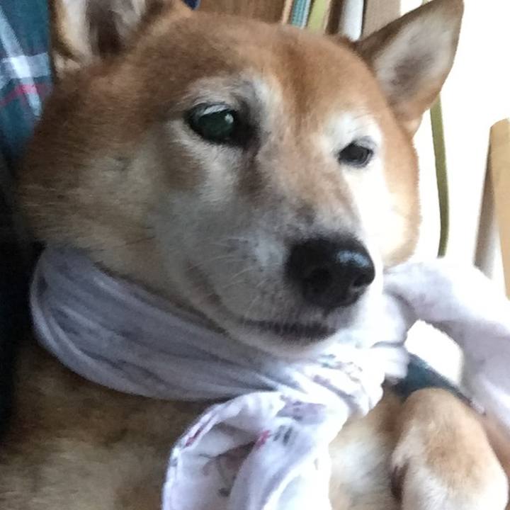 A3aef11d a6a4 4df8 8e25 3f6bbd85067e 1598691836768