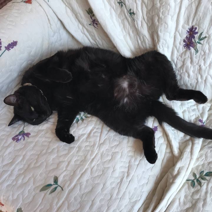 A3aef3f0 8533 486b ba6b b7c6cee73426 1618875568145