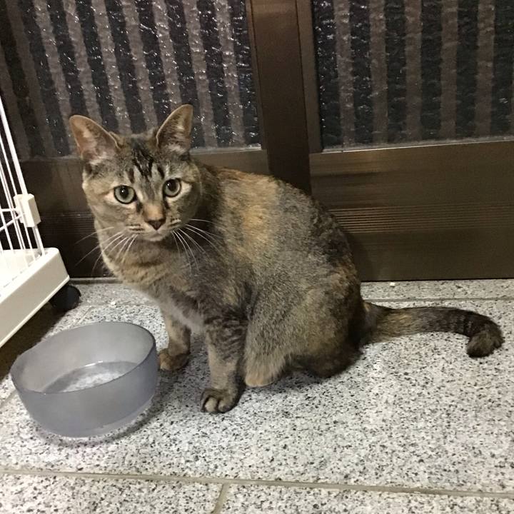 A3aef528 b6a1 46a1 a174 df96ff4f580b 1684589676222