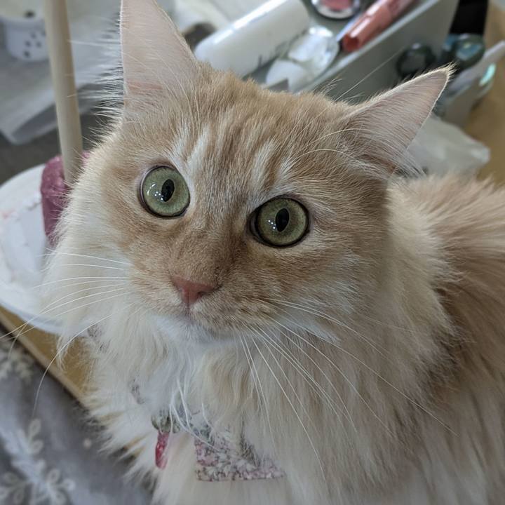 A3af1232 a65e 40d2 babf 150ec5fe437b 1772935654445