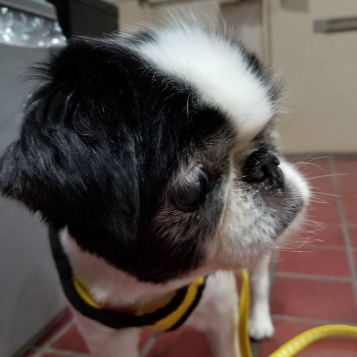 A3af55cf dc28 48ae a72e 7485a71b1612 1562582745241