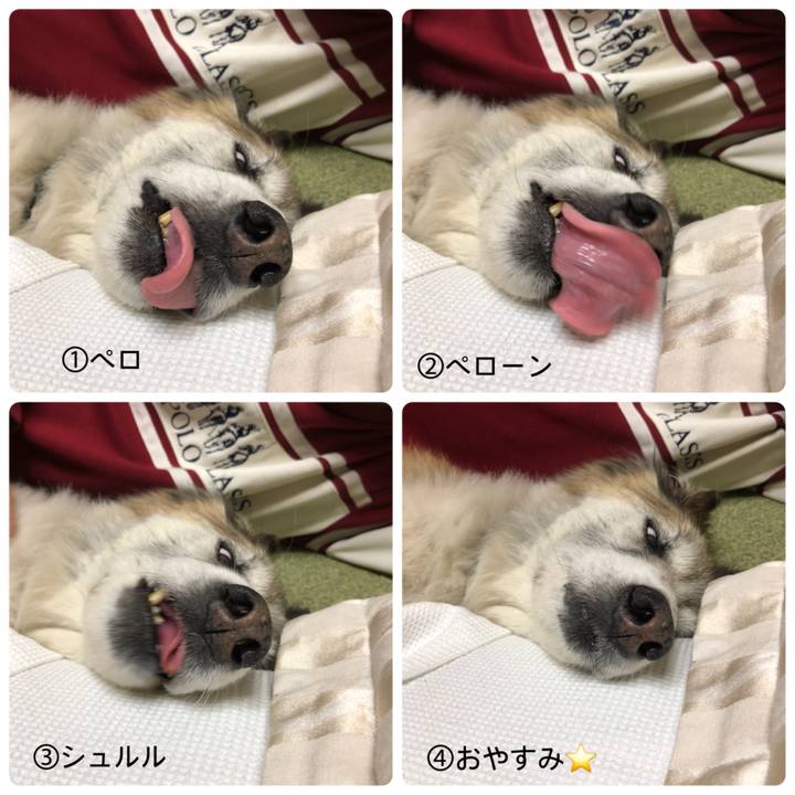 A3af68f4 71ca 4a7d 9552 4220be8b0dcb 1528644862314