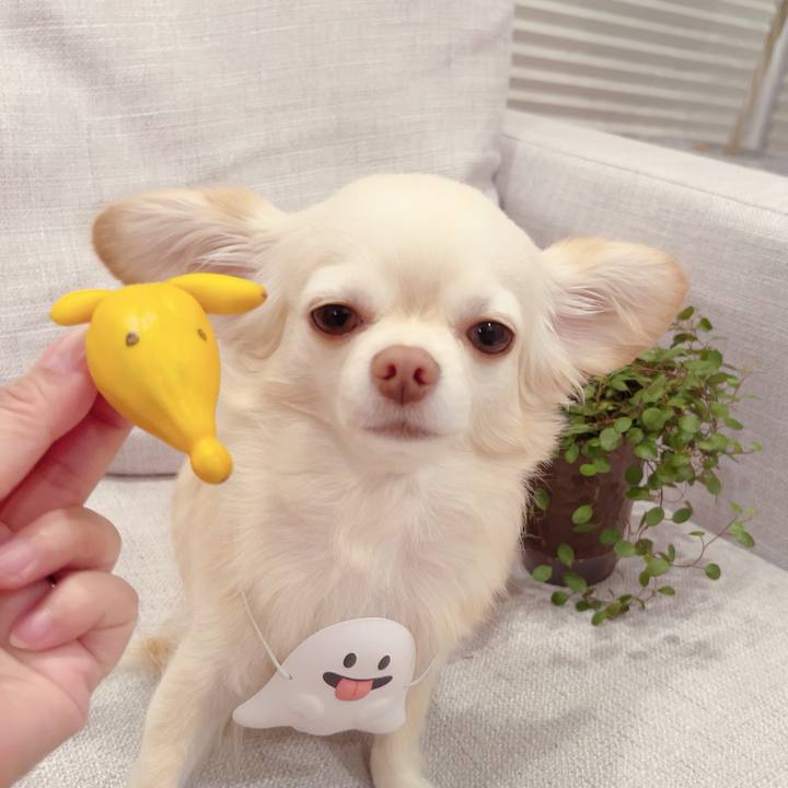 A3af9685 b7f4 4927 ac58 1cbbf91a8cd0 1698458056094