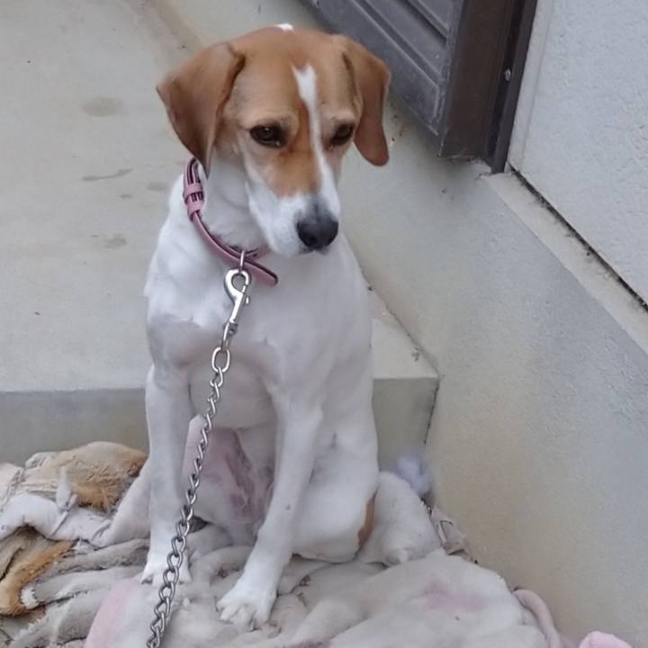 A3afd4cc 8e67 4b40 869c ee090cab67a5 1576744779652