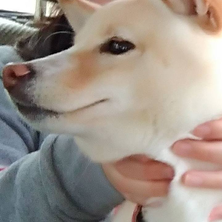 A3afd8a6 deb0 4cac 97f2 090ef34ccf75 1521893019058