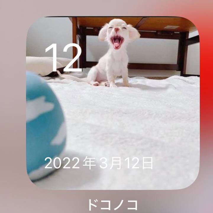 A3afdeb3 ada4 4c18 a60b 36bf7b523052 1710242899179