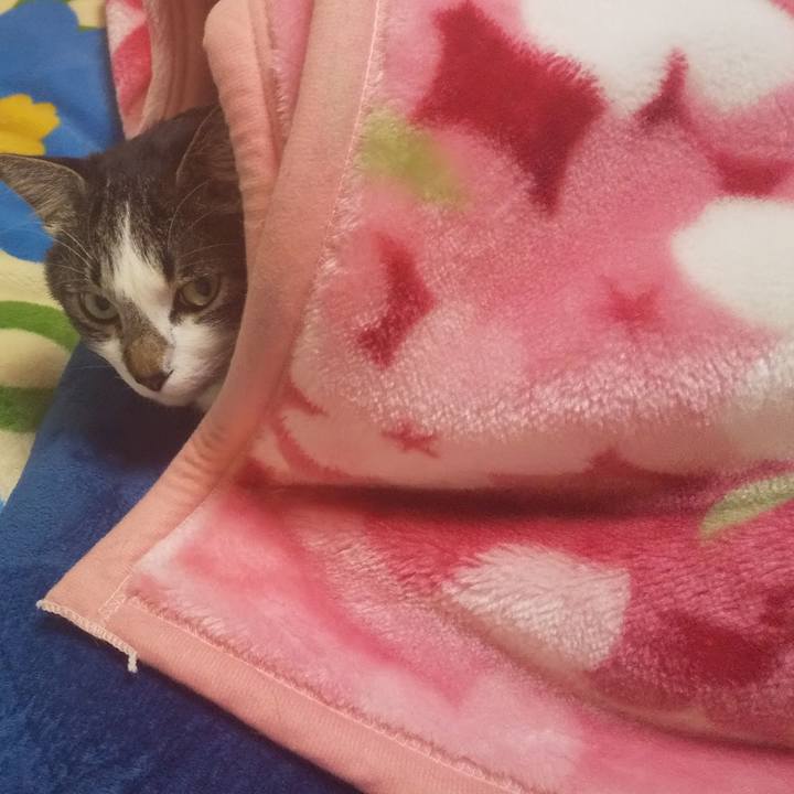 A3aff99c 7faa 4a78 8599 d713d6f2a602 1670412992077