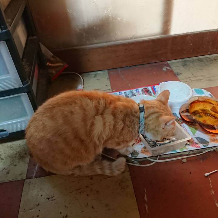 A3b00c0f d15c 43b8 ad9d cdb1c6527904 1592685099902