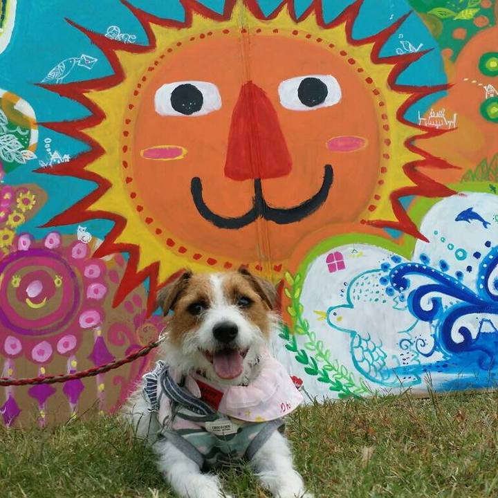 A3b01d9e 9a0e 4b67 aa5c ebf3d8378fd8 1540698759382