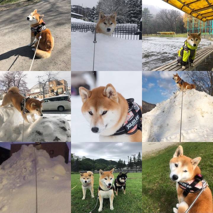 A3b03de3 ad34 4ee1 bfb1 f806f7628c01 1577836348288