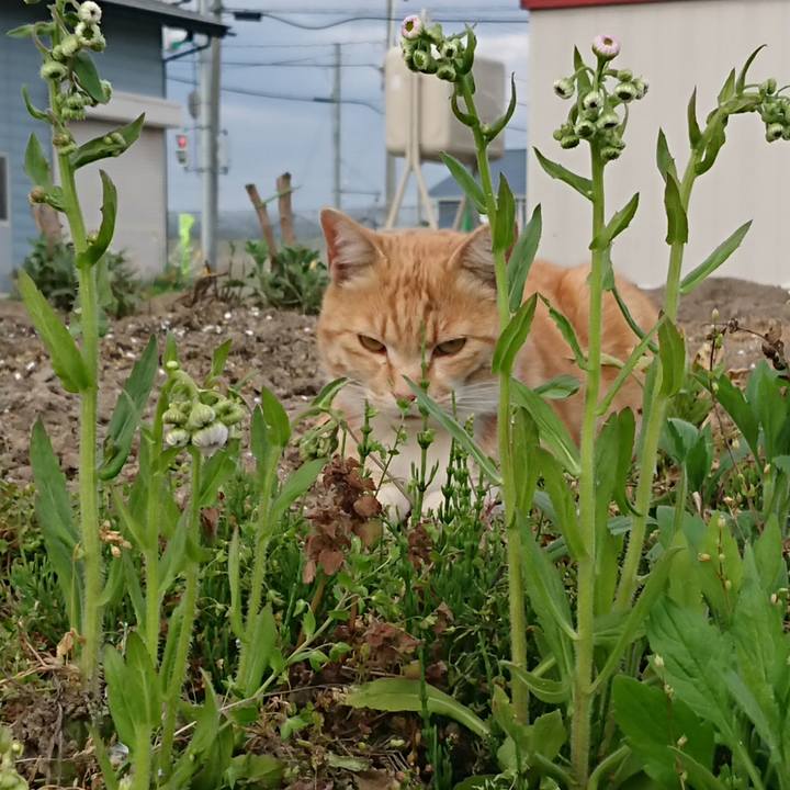 A3b05317 9b10 4531 a6e1 5249a3581d25 1588579319520