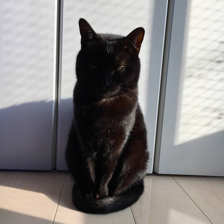 A3b06d11 789c 448c 81fb a2a6ceaa1cb6 1519775299750