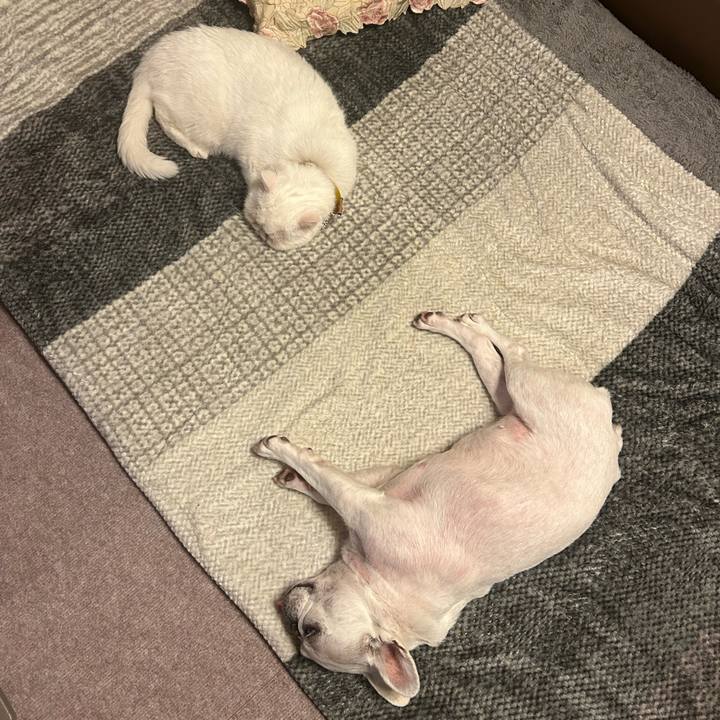 A3b07400 c2b1 4d64 900e 10d92d16aa5c 1745496613285