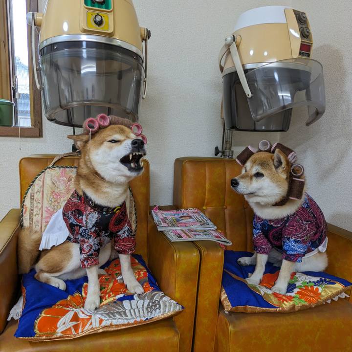 A3b07d50 cb40 4305 bb2e 8b31795f646b 1718770687269