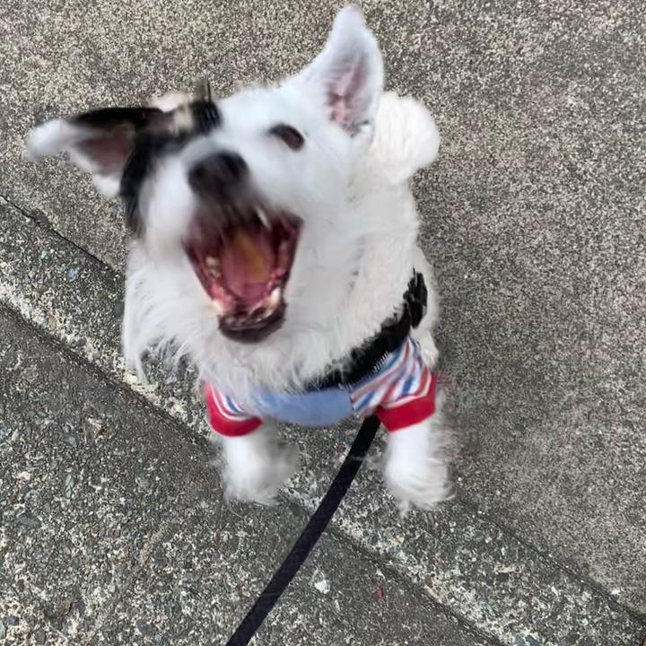 A3b08268 c652 4208 955a 976f604ba185 1702945525104