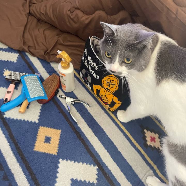 A3b0b2eb 3690 4aa8 ad41 7638131f762e 1679193014520