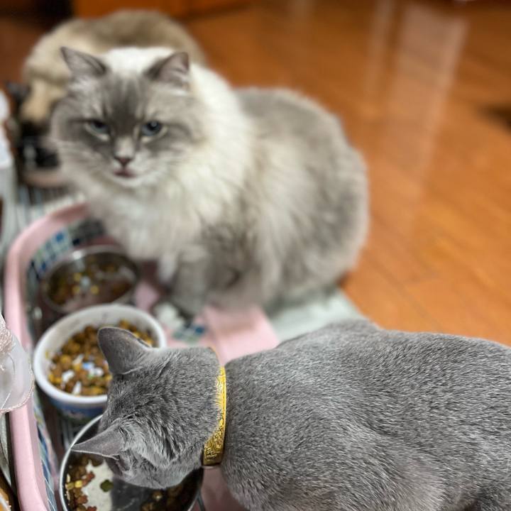 A3b132fc 01f6 4389 8f11 cf07eb9072f5 1658925499475