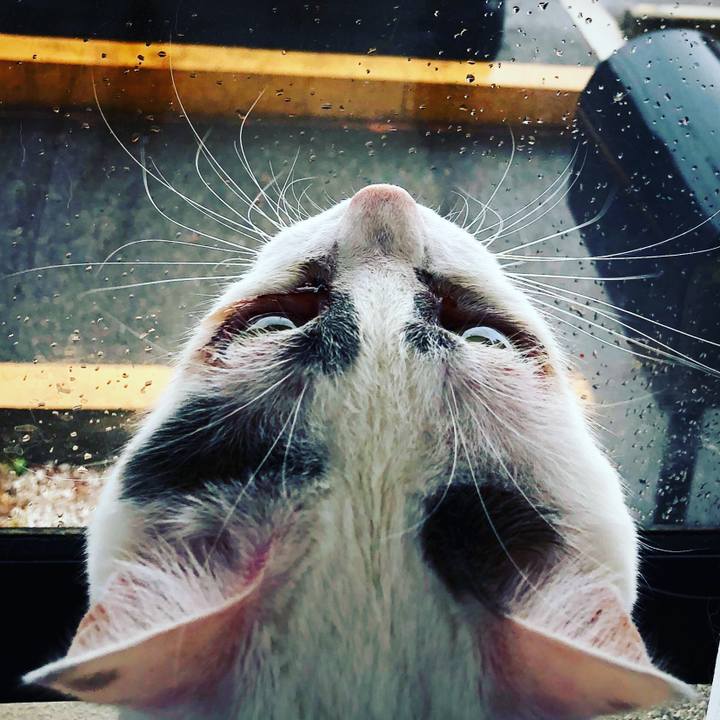 A3b171cd d3c1 4e31 b6a4 88c8530ac6a1 1529159206254