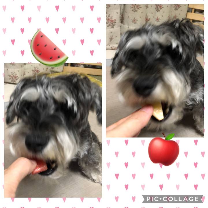 A3b17490 cb5d 44c7 9718 b77441dee518 1658491454865