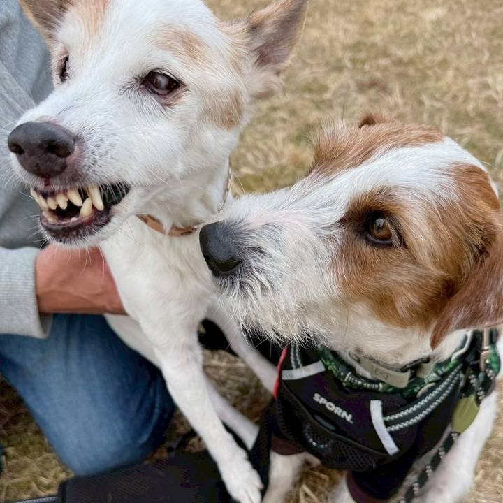 A3b1babf 2bae 4dd9 ae83 5e62076376f5 1771243925703