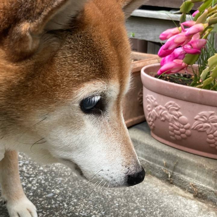 A3b1c6df 87ff 4b4b 9adf 53bc1f276824 1702944043043