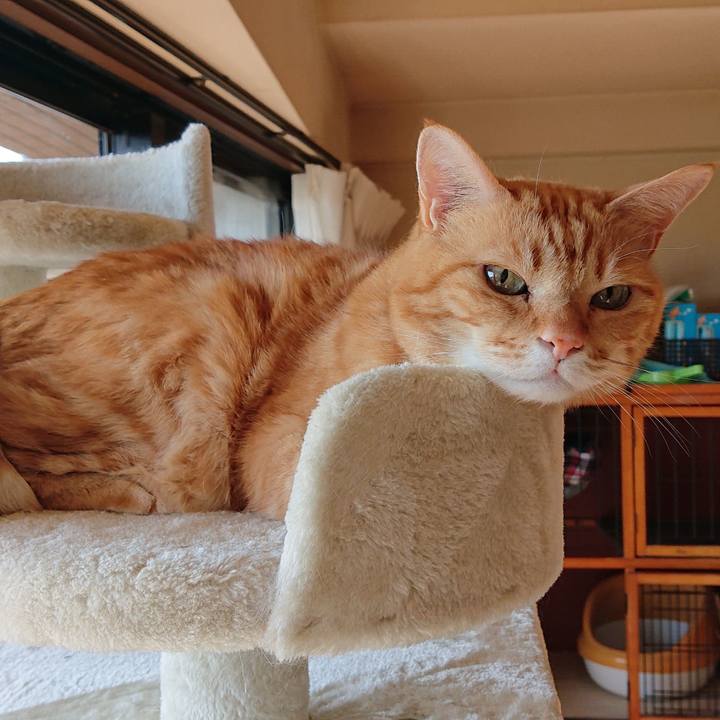 A3b1fa96 b0a0 4cbd a42a d1c71ca05f9c 1580613858247