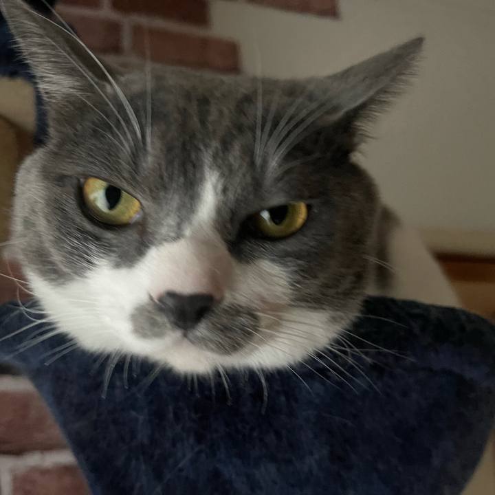 A3b2521c c40e 40df be04 1ab62ccc3d15 1630741121670