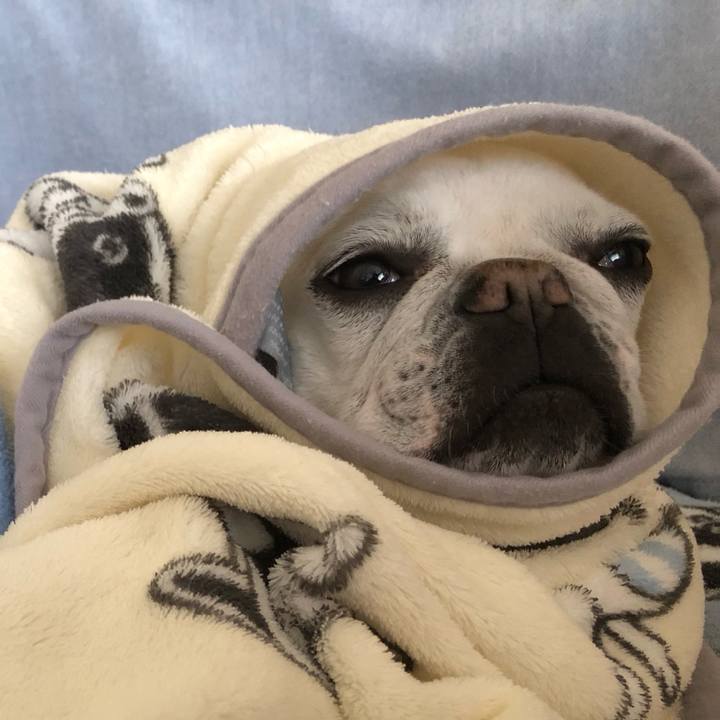 A3b27861 f4eb 472b a881 3c6ef4d0ee6f 1681641590368