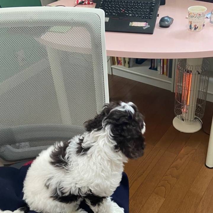 A3b28777 42e1 4465 b59c c317c34618be 1607481443259