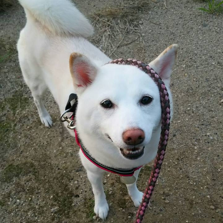 A3b2b6f3 8f51 4a51 a011 6aa9bd12a4bf 1536226557911