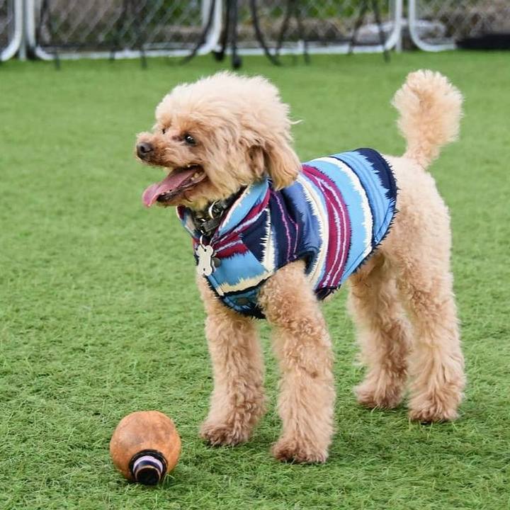 A3b30216 2235 43f8 a737 cc080fbac22b 1584980398042