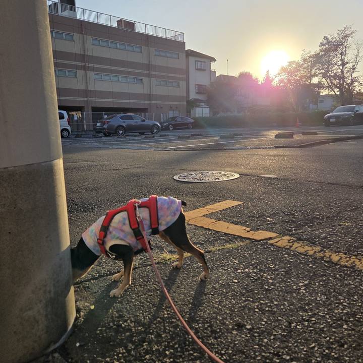 A3b303cb 7a3f 4d37 9292 d57885fcb999 1758663324241