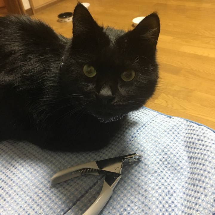 A3b307ee 75f6 4f44 b1e4 d7f1a2d84426 1545134562199