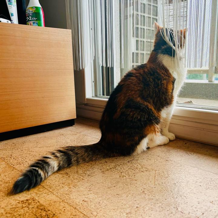 A3b309a6 c846 4717 a719 386b93cc3871 1728985840891