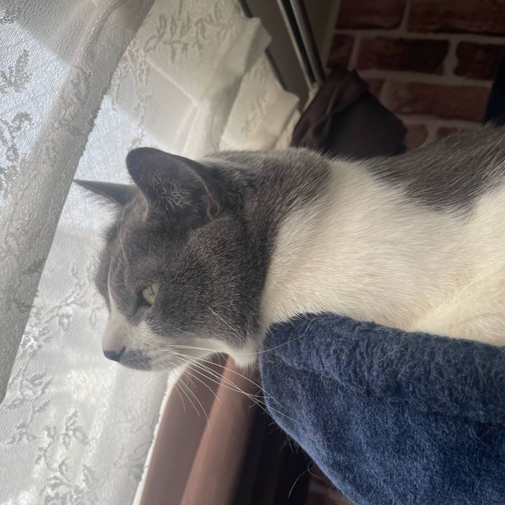 A3b31017 ea27 4651 b59e 1956ec3eab9b 1678403778297