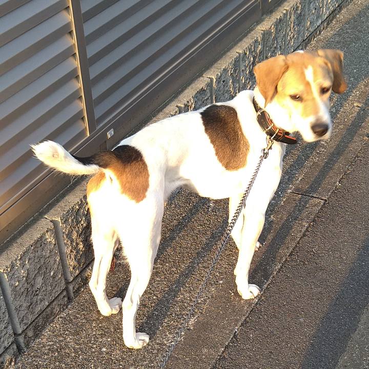 A3b31d85 2e75 4938 ba05 e9700b09376f 1647075224560