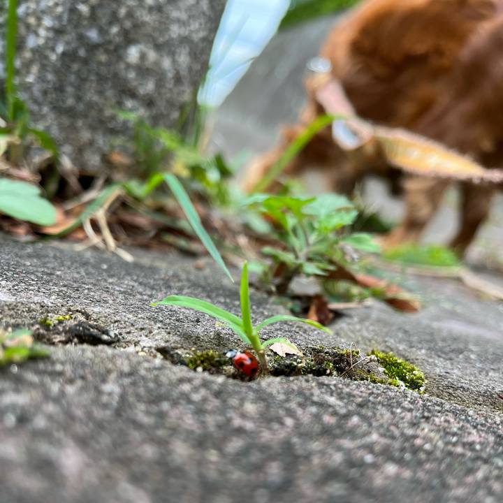 A3b34fe3 ac7a 4d59 9a9c 973e7b24b5d5 1696721554406