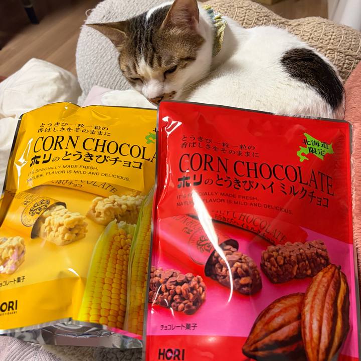 A3b35617 1191 4f4e 98e9 79d478b4d8d9 1774004821379